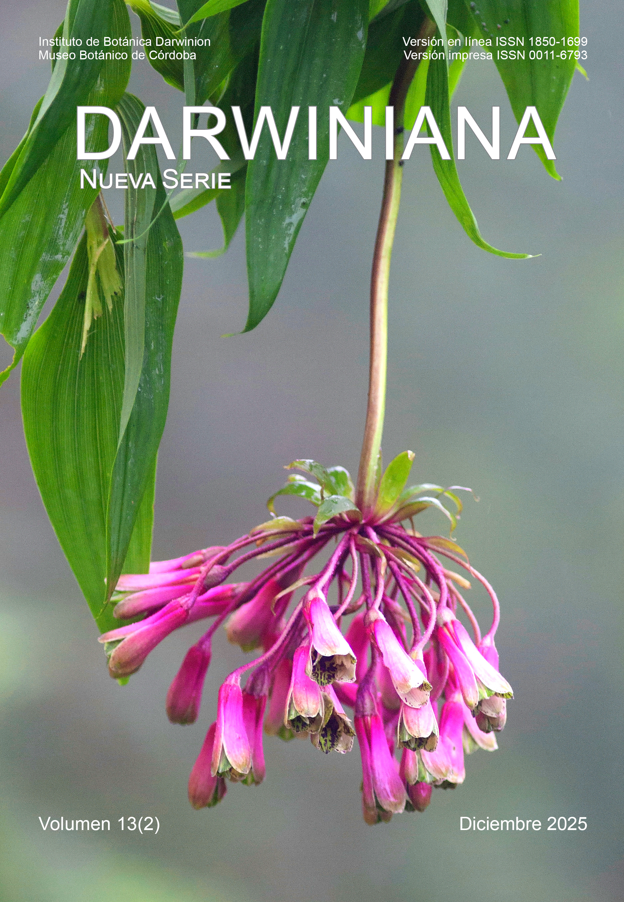 					Ver Vol. 13 Núm. 2 (2025): Darwiniana, nueva serie
				